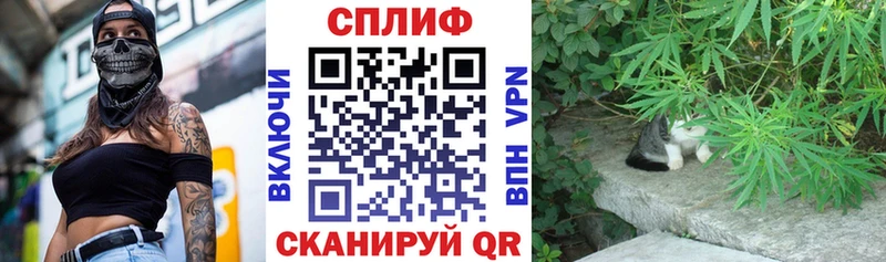 наркотики  Тейково  Шишки марихуана планчик 